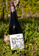 Lade das Bild in den Galerie-Viewer, Spätburgunder 2023
